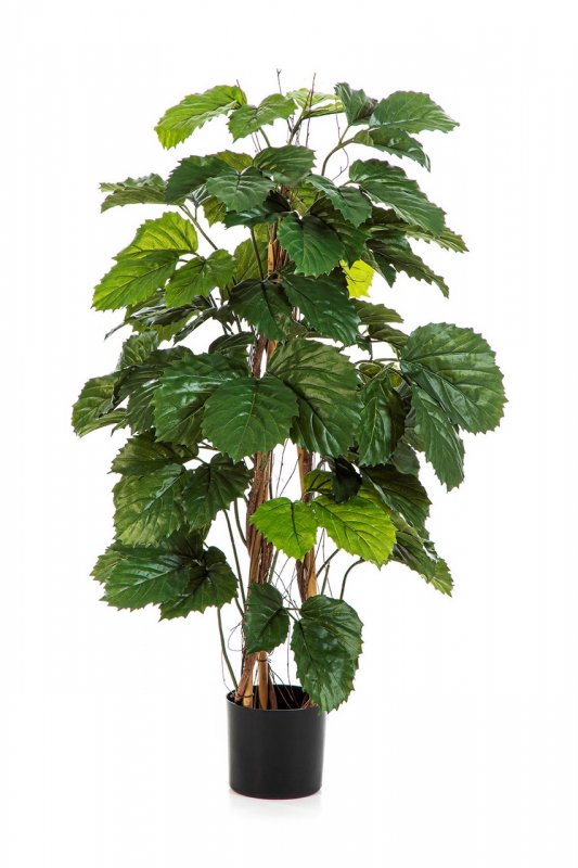 43104N-iskusstvennaya-tetrastigma-kustovaya-120-cm